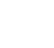 Grand Rapids Urban Forest Project